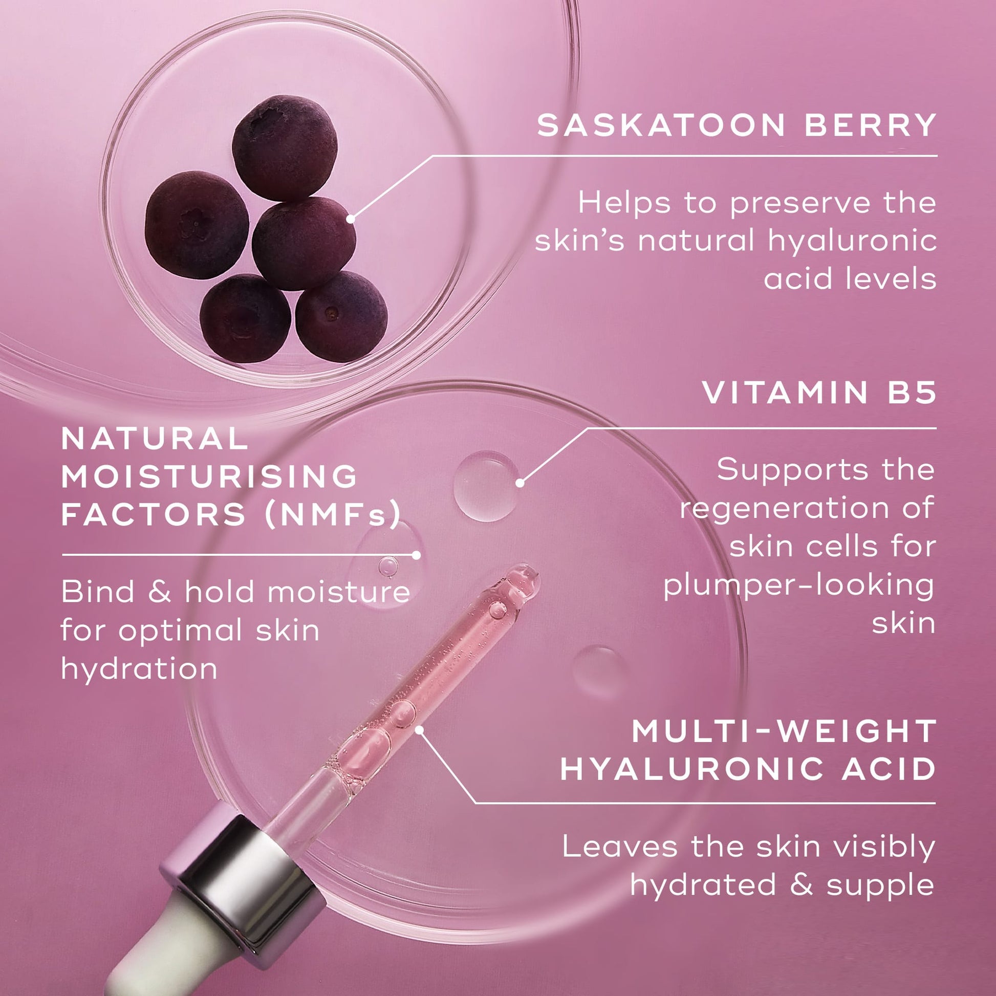 Hydr8 B5™ Intense – 2