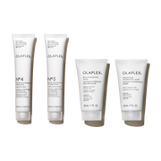 4-PIECE MINIS + PICK YOUR GIFT