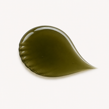 Vagheggi Equilibrium Algae Shampoo — zdjęcie 3