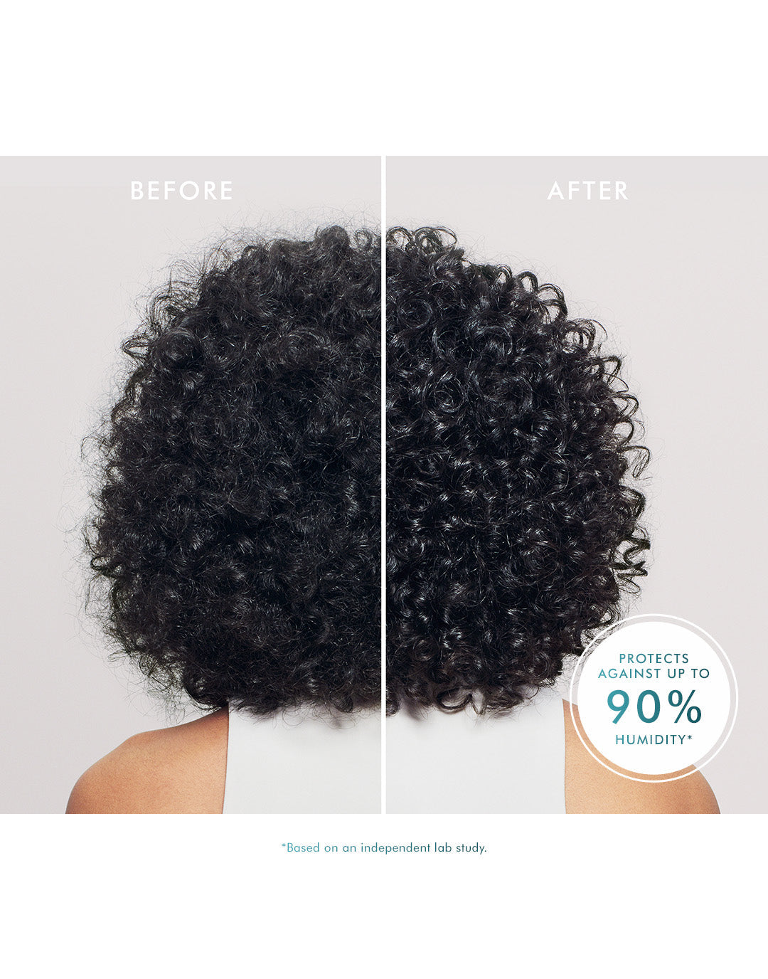 Frizz Shield Spray
