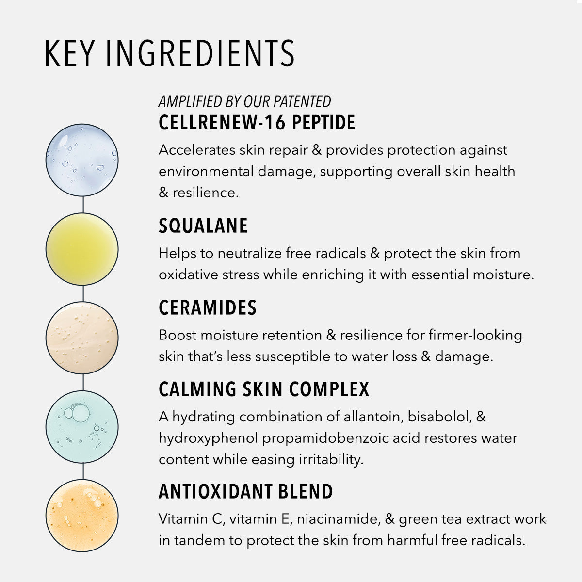 HydroPeptide Barrier Builder — HydroPeptide