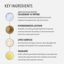 HydroPeptide Solar Dew SPF 30 40 ml — photo 6