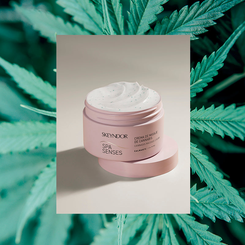 Skeyndor Cannabis Massage Cream – Spa Senses