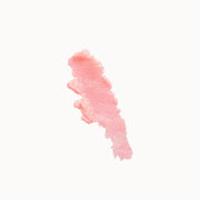 Vagheggi Lip Care N. 10 Scrub